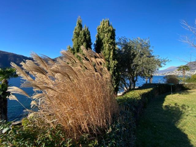 Ferien Am Luganer See Mit Seesicht بيسون المظهر الخارجي الصورة